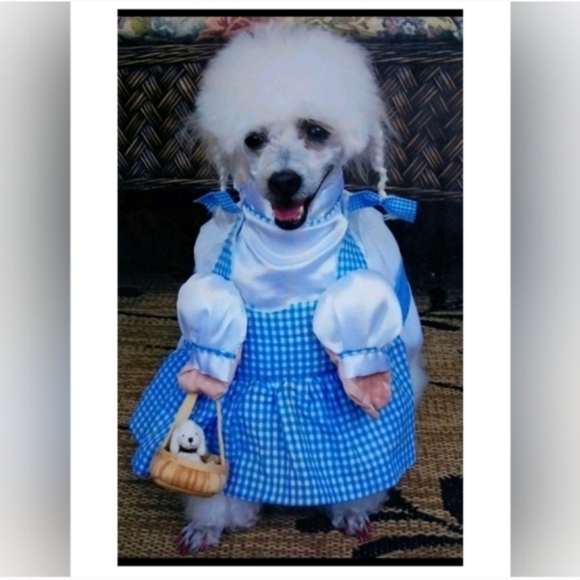 Sunday Made Simple  1pm  PST  January 18 - Picture 6 of 7